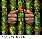Healthy eating obsession  concept and addicted to health food symbol or or orthorexia nervosa as an extreme eating habit of consuming only certain foods as human hands holding prison bars from a jail cell made of fruits and vegetables. Стоковое фото, агентство Ingram Publishing / Фотобанк Лори