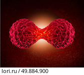 Cancer cell dividing concept as a microscopic cellular cycle of replication or division of malignant cancerous cells in the human body as a health care medical and oncology symbol for dangerous tumor growth. Стоковое фото, агентство Ingram Publishing / Фотобанк Лори