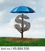 Economic protectionism policy and financial closed trade restrictions as a tree shaped as a money dollar sign losing leaves due to a security umbrella blocking needed sun and rain resulting in business damage and disadvantage. Стоковое фото, агентство Ingram Publishing / Фотобанк Лори