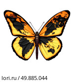 Global Butterfly symbol for the environment or migrant refugee crisis escaping to freedom from world crisis zones as a migratory insect with a map of the planet earth as a metaphor for international social and ecological hope. Стоковое фото, агентство Ingram Publishing / Фотобанк Лори