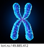 Chromosome as a human biology x structure containing dna genetic information as a medical symbol for gene therapy or microbiology genetics research. Стоковое фото, агентство Ingram Publishing / Фотобанк Лори