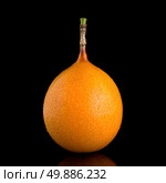 Passion fruit maracuja granadilla on black background. Стоковое фото, агентство Ingram Publishing / Фотобанк Лори