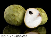 Custard apple, also known as Bullocks or Bulls Heart.On black with reflection. Стоковое фото, агентство Ingram Publishing / Фотобанк Лори