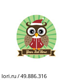owl art theme. cool owl art theme vector graphic illustration. Стоковая иллюстрация, агентство Ingram Publishing / Фотобанк Лори