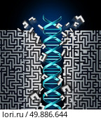 Genetic research success concept as a medical scientific breakthrough symbol with a dna strand breaking through a maze as the science of genetics to find a cure to diseases and genetic disorder. Стоковое фото, агентство Ingram Publishing / Фотобанк Лори