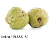 Custard apple, also known as Bullocks or Bulls Heart on white background. Стоковое фото, агентство Ingram Publishing / Фотобанк Лори