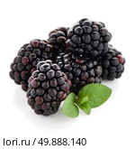 Blackberries with leaves isolated on white background. Стоковое фото, агентство Ingram Publishing / Фотобанк Лори