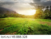 Field in jungles of Sri Lanka at cloudy sunset. Стоковое фото, агентство Ingram Publishing / Фотобанк Лори