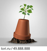 Never give up hope concept of persistence and the unstoppable force of nature as a sapling plant emerging out of an upside down flower pot as a success metaphor and motivation symbol to keep on fighting for your dream. Стоковое фото, агентство Ingram Publishing / Фотобанк Лори