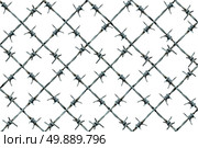 Barbed wire fence pattern isolated on a white background as metal wire with sharp spikes as a security and danger metaphor for incarceration and brutality symbol or protection icon. Стоковое фото, агентство Ingram Publishing / Фотобанк Лори
