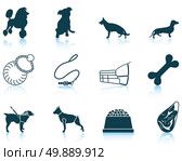 Set of twelve dog breeding icons with reflections. Vector illustration. Стоковая иллюстрация, агентство Ingram Publishing / Фотобанк Лори