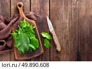 sorrel. Стоковое фото, агентство Ingram Publishing / Фотобанк Лори