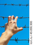 Hand of prison and sky background. Conceptual scene. . Стоковое фото, агентство Ingram Publishing / Фотобанк Лори