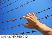 Hand of prison and sky background. Стоковое фото, агентство Ingram Publishing / Фотобанк Лори