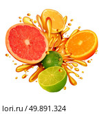 Citrus fruit splash symbol with a group of fresh oranges lemons lime tangerines and grapefruit splashing in juice for healthy living eating organic juicy health food full of natural vitamins in a 3D illustration style. Стоковое фото, агентство Ingram Publishing / Фотобанк Лори
