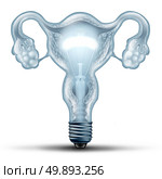 Female fertility solution concept and woman reproduction symbol as a human uterus with fallopean tubes and ovaries shaped as a lightbulb as a medical idea metaphor with 3D illustration elements. Стоковое фото, агентство Ingram Publishing / Фотобанк Лори