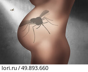 Zika pregnancy fear medical concept and virus danger concept as an infectious mosquito casting a shadow of the insect on the pregnant abdomen belly of a woman victim spreading disease in a 3D illustration style. Стоковое фото, агентство Ingram Publishing / Фотобанк Лори