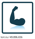 Bicep icon. Shadow reflection design. Vector illustration. Стоковая иллюстрация, агентство Ingram Publishing / Фотобанк Лори