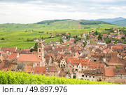 Riquewihr in the heart of the Alsatian vineyard Alsace France. Стоковое фото, агентство Ingram Publishing / Фотобанк Лори