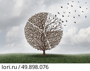 Economic business market shift or global investing concept as a tree with birds perched on branches shaped as a financial diagram of a pie chart with a portion flying away with 3D illustration elements. Стоковое фото, агентство Ingram Publishing / Фотобанк Лори