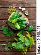 pickling cucumbers. Стоковое фото, агентство Ingram Publishing / Фотобанк Лори