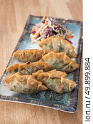 Korean Style Gyoza, Vegeterian Potstickers with soy sauce and pork. Стоковое фото, агентство Ingram Publishing / Фотобанк Лори