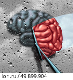 Dementia therapy and brain disease cure or mental health treatment concept as a blurry brain with drops on a window as a wiper cleans the confusion to a healthy thinking organ as a symbol for neurology or psychological help with 3D illustration elements. Стоковое фото, агентство Ingram Publishing / Фотобанк Лори