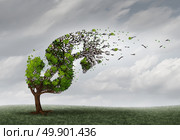 Financial trouble and money adversity or economic crisis concept as a tree being blown by the wind and damaged or destroyed by the force of a storm as a business crisis metaphor with 3D illustration elements. Стоковое фото, агентство Ingram Publishing / Фотобанк Лори