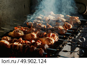 Barbecue Skewers With Chicken and Meat Roasting on Grill Outdoors. Стоковое фото, фотограф Aleksandr Golubev / Фотобанк Лори