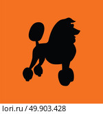 Poodle icon. Orange background with black. Vector illustration. Стоковая иллюстрация, агентство Ingram Publishing / Фотобанк Лори