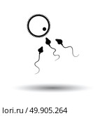 Sperm and egg cell icon. White background with shadow design. Vector illustration. Стоковая иллюстрация, агентство Ingram Publishing / Фотобанк Лори