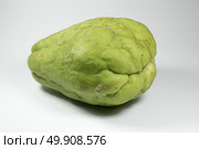 fresh chayote on white background isolated. fresh chayote on white background isolated photo. Стоковое фото, агентство Ingram Publishing / Фотобанк Лори