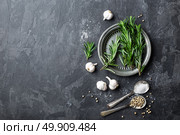 Rosemary, garlic, salt and white pepper, culinary background with various spices, directly above, flat lay, copy space. Стоковое фото, агентство Ingram Publishing / Фотобанк Лори