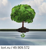 Business contraction concept or economic decline symbol as a mature tree casting a reflection in the water of a small young sapling with 3D illustration elements as a metaphor for downgrade or devaluation. Стоковое фото, агентство Ingram Publishing / Фотобанк Лори