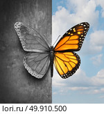 Bipolar mental disorder abstract psychological illness concept as a butterfly divided as one side in grey and sad colors with the other in full bright tones as a medical metaphor for psychiatric mood or feelings imbalance. Стоковое фото, агентство Ingram Publishing / Фотобанк Лори