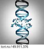 Damaged DNA and genetic mutation biotechnology concept as a double helix strand with damage as a medical symbol for genome or chromosome problem as a 3D illustration. Стоковое фото, агентство Ingram Publishing / Фотобанк Лори