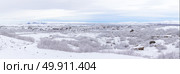 panorama shot of  Winter landscape with snow covered trees at Dimmuborgir Lake Myvatn, Iceland. Стоковое фото, агентство Ingram Publishing / Фотобанк Лори
