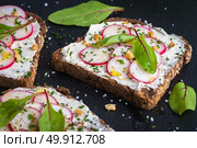 Delicious vegetarian sandwiches. Delicious sandwiches with soft cream cheese and radish. Vegetarian food. Стоковое фото, агентство Ingram Publishing / Фотобанк Лори