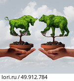 Growing stock market trends and financial advisor guidance or stock broker economic business sentiment as two hands holding a bear and bull tree as a shareholder economy concept with 3D illustration elements. Стоковое фото, агентство Ingram Publishing / Фотобанк Лори