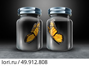 Barriers to communication and physical barrier concept as two butterflies in seperate closed glass as a jars as a 3D illustration. Стоковое фото, агентство Ingram Publishing / Фотобанк Лори
