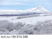 Winter landscape Iceland. Winter landscape with snow covered trees at Dimmuborgir Lake Myvatn, Iceland. Стоковое фото, агентство Ingram Publishing / Фотобанк Лори