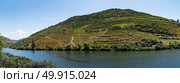Point of view shot from historic train in Douro region, Portugal. Features a wide view of terraced vineyards in Douro Valley, Alto Douro Wine Region in northern Portugal, officially designated by UNESCO as World Heritage Site. Стоковое фото, агентство Ingram Publishing / Фотобанк Лори