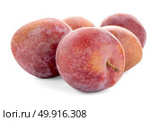 Side view of red ripe plums fruits isolated on white background. Стоковое фото, агентство Ingram Publishing / Фотобанк Лори