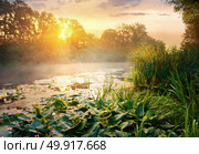 River with water lillies and reeds on its bank at sunrise. Стоковое фото, агентство Ingram Publishing / Фотобанк Лори