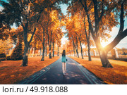 Beautiful view on the autumn trees alley and happy young girl with raised up arms. Amazing park in autumn. Landscape with woman, trees, yellow leaves, walkway. Lifestyle background. National park. Landscape with woman, trees, green grass, pathway. Стоковое фото, агентство Ingram Publishing / Фотобанк Лори