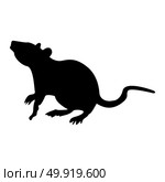 Rat icon . Стоковая иллюстрация, агентство Ingram Publishing / Фотобанк Лори