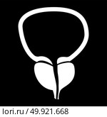 The prostate gland and bladder white color icon .. The prostate gland and bladder it is white color icon . Стоковая иллюстрация, агентство Ingram Publishing / Фотобанк Лори