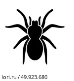 Spider or tarantula black icon . Стоковая иллюстрация, агентство Ingram Publishing / Фотобанк Лори