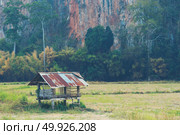 Wood cottage in paddy rice field, countryside of Thailand. Стоковое фото, агентство Ingram Publishing / Фотобанк Лори