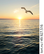 A wonderful sunset scene in the beach. Mediterranean sea. Стоковое фото, агентство Ingram Publishing / Фотобанк Лори